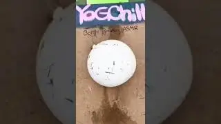 BOTTLE BREAKING ASMR #asmr