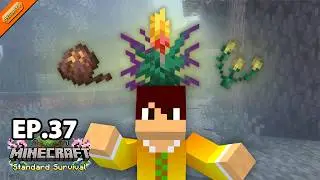 Minecraft Standard #37 - เอาชีวิตรอดกับลุ้นกาชาดอกไม้โบราณ
