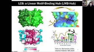 2022-03-10 Emerging MR Webinar: Barbar