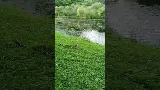 16 июля 2023 г.