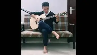 (Paddy Sun) Sunflower - Fingerstyle Guitar Cover | Tam Luu CG