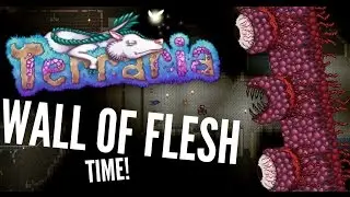 Terraria Time Lapse