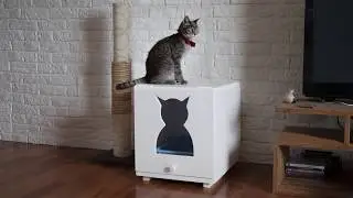 Come costruire un box porta lettiera per gatti