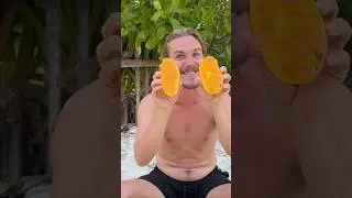 The Best Mango In The World?
