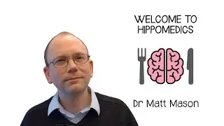 Welcome to Hippomedics!