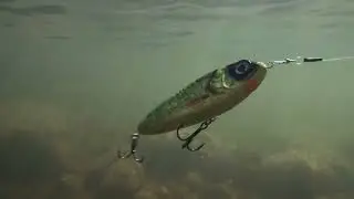 Abu Garcia / Svartzonker McTracer Undervattensvideo