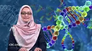Evolution of Crops, Genetic Engineering and Genetic Manipulation