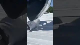 Roof coating 
