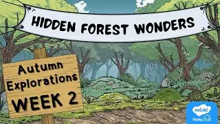 Pathfinders: Hidden Forest Wonders