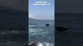 Beautiful Day at Heisler Park - Laguna Beach
