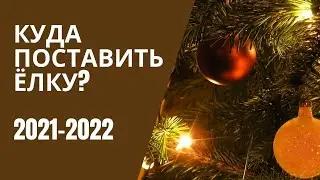 КУДА ПОСТАВИТЬ ЁЛКУ? 2021-2022