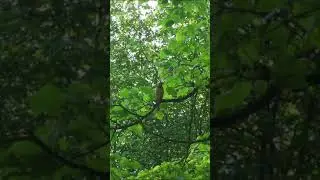 Текущее-сущее. Юг Московских земель