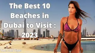 The Best 10 Beaches in Dubai to Visit : Expat Race