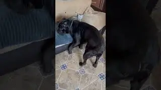 На улице мороз 🙈