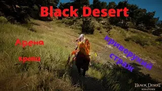 BDO 