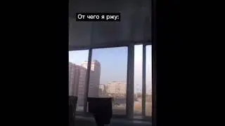 Диномайк в real life