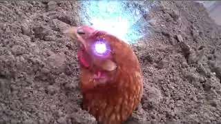 ХРАМ ГОЛОВЫ, ГОЛОВА ДАЙ ДЕНЕГ!