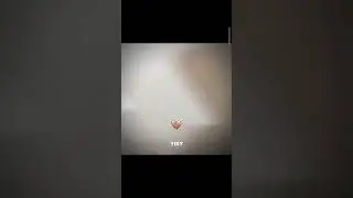 СПАсиБо вам за 375 или больше не помню но всё равно спасибо 🙏💕 #memes #мем #minecraft #майнкрафт