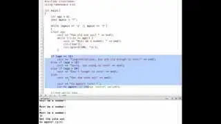 C++ Validating Input with a while Loop