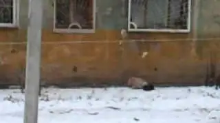 ЗА ХЛЕБОМ ВЫШЛА.....))).mp4