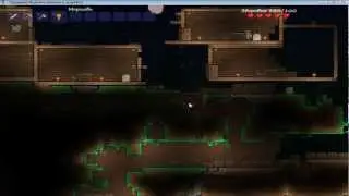 как получить морковку в terraria бесплатно