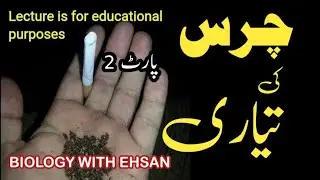 chars part 2|chars( hashish) bnany ka tariqa|gaanja|چرس