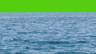ocean green screen 4k video free
