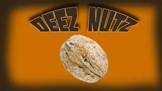 Never See Deez Nuts Again - Vine
