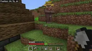 Minecraft: Village