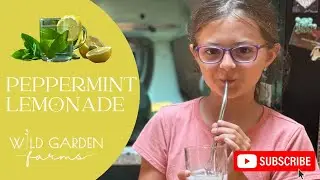 How to Make Peppermint Lemonade