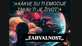 Odjek Zahvalnosti - Jelena Tasić