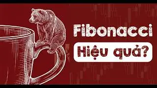 Thí nghiệm Fibo và mẫu hình Cốc Quai cầm Cup & Handle