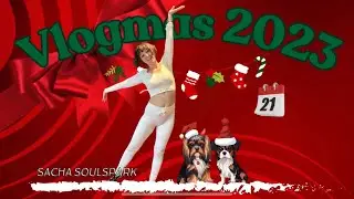 Vlogmas Day 21! - The one with the Human Factors use case!