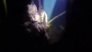 Подвоная охота с лазерным целеуказателем