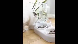 Raised Cat Bowls Feeder 3 in 1 Pet Feeder and Automatic Water Dispenser Rotatable Double Food Bowl