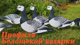 Профили Белощекой казарки MoroZz Hunt
