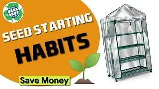 My Seed Starting HABITS That Changed EVERYTHING