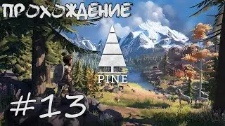 Pine ➤ #13 ➤ Созерцатель гробниц. Великий ляп. Яркоперы.