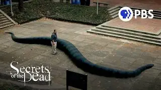 Titanoboa: The Snake That Rewrote History