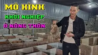 Mô Hình Khởi Nghiệp Làm Giàu Ở Nông Thôn 2022