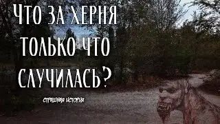 Что за херня только что случилась? | Страшная история с Reddit'а