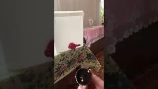 Кран в ёмкость для разлива мёда.