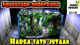#78 Aquascape harga sejutaan