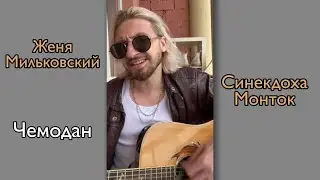 Женя Мильковский – Чемодан (Синекдоха Монток cover)