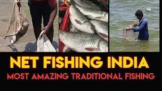 Most Amazing Net Fishing by Fisherman | Best fishing Videos Compilation 2020