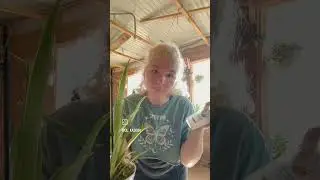про какахи и деньги 😉😆