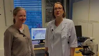 Bruker kunstig intelligens i kampen mot kreft