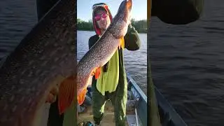 внчерняя мадама #рыбалка #отдых #fishing