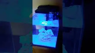 Nano reef 30 #1 zalewanie cdn