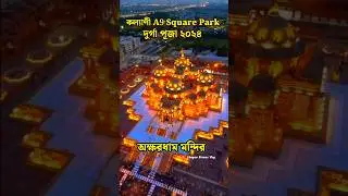 Kalyani A9 Square Park Durga Puja 2024😍Kalyani iti more durga puja 2024🥰 #durgapuja2024 #shorts